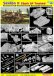 画像2: サイバーホビー 6760 1/35 WW. II イギリス陸軍 セクストンII 25ポンド自走砲 (2)
