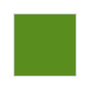 画像1: 水性カラー　アクリジョン　N16 ルマングリーン