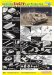 画像2: ドラゴン 6647 1/35 WW.II ドイツ軍 Sd.Kfz.167 IV号突撃砲最終生産型(スマートキット)w/マジックトラック (2)