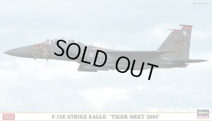 画像1: ハセガワ 1/72 02119  F-15E ストライク イーグル “タイガーミート 2005” 