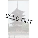 画像: フジミ 建物シリーズNo.7 1/100 国宝 興福寺 五重の塔