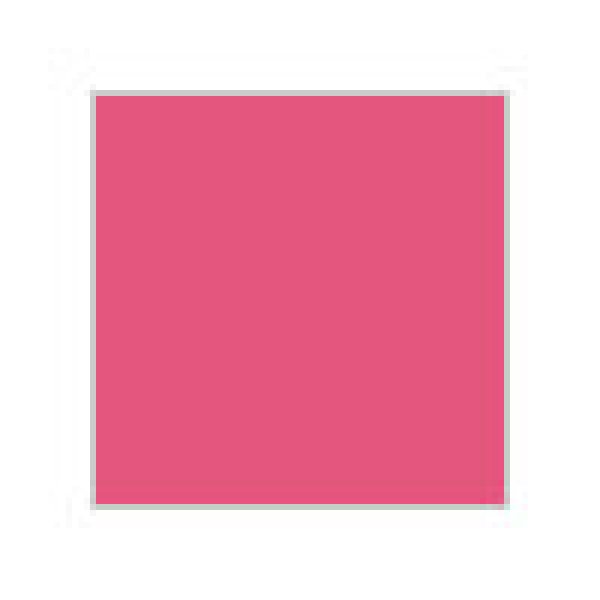 画像1: 水性カラー　アクリジョン　N19 ピンク